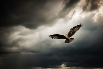 Fototapeta premium A bird in flight against a dramatic stormy sk
