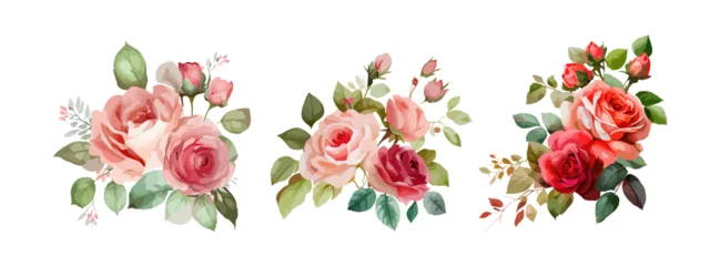 Fototapete Blumen Collection of beautiful rose flowers isolated on white background. Spring and summer red, pink roses floral branch and leaves. Vector illustration