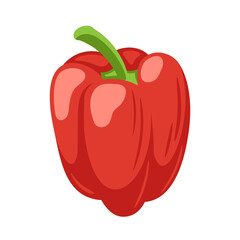 Sweet red bell pepper isolated on white background. Bell pepper in Cartoon style. Vector illustration