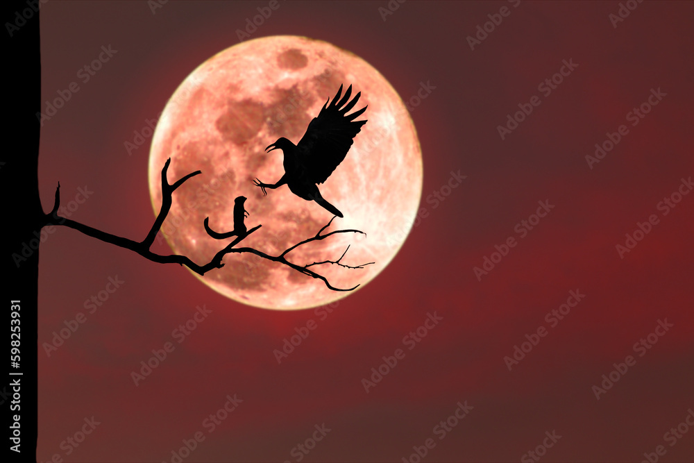 Wall mural Silhouette of a crow catching a squirrel on a tree branch with its claws on a branch during a red full moon night.
