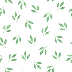 Naklejka na ściany i meble Hand drawn seamless pattern, twigs with leaves in the doodle style
