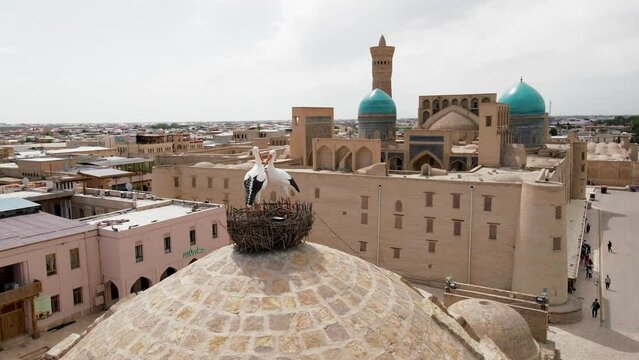 Aerial view of historic center of Bukhara city in Uzbekistan 