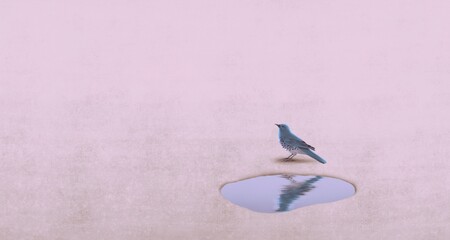 Lonely bird. Concept art of loneliness alone and solitude. animal. - obrazy, fototapety, plakaty