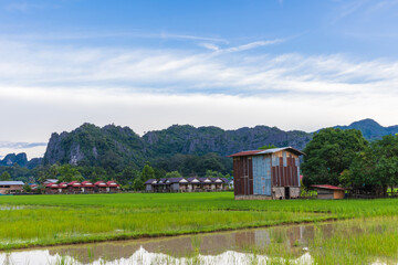 Farmer's village in rural of Laos.