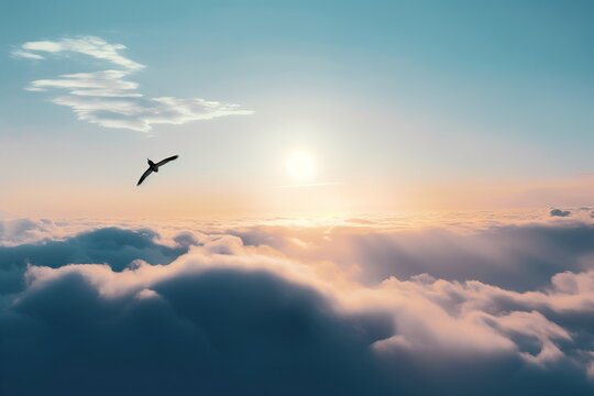 A bird soaring above the cloud
