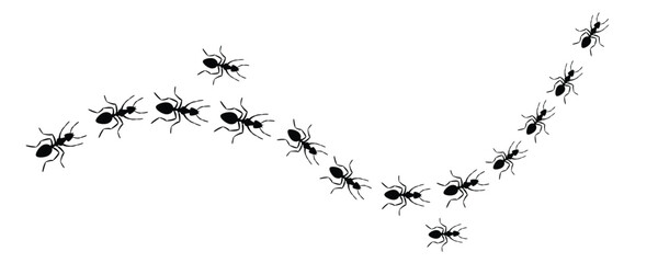 Worker ants trail line flat style design vector illustration isolated on white background. Top view of ants bug road trail marching in the line row. Pest control or insect searching concept. © Inovo Lab