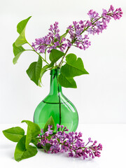 romantic delicate bouquet of lilacs in a glass bottle