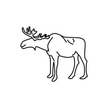Moose outline icon. North American Animal vector illustration in trendy style. Editable graphic resources for many purposes.