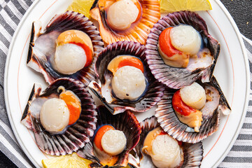 seafood scallop in shell fresh meal snack on the table copy space food background rustic top view 