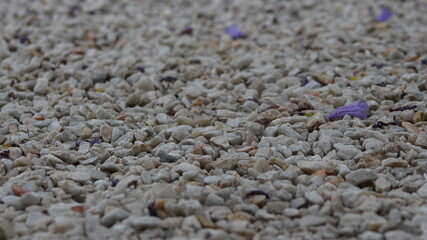 stone texture floor background
