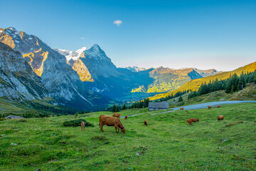 Grindelwald, Jungfrau, Switzerland