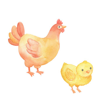 Cute cartoon chicken and chick. Watercolor illustration isolated on white. Farm animal mama hen and child