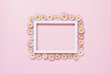 White border with daisy flowers on pink background. Flat lay, copy space