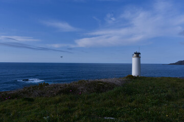 Faro