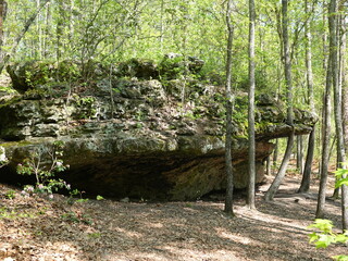 Rock formation in forest