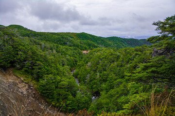 Looking down over Tongariro National Park from the side of Mangawhero River, forest stream flowing over rocky riverbed. Mountain Ruapehu, North Island, New Zealand