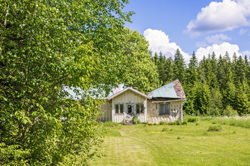 Lush green tree by an old house ruin in the countryside