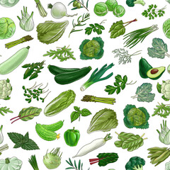 drawing seamless pattern with green vegetables at white background hand drawn illustration