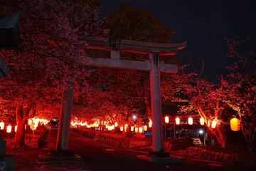 Fototapeten Sakura and Torii Gate of Gokoku-ji in Awaji, Hyogo, Japan 日本 兵庫 淡路島 護国寺 賀集八幡神社 鳥居 桜  © Eric Akashi