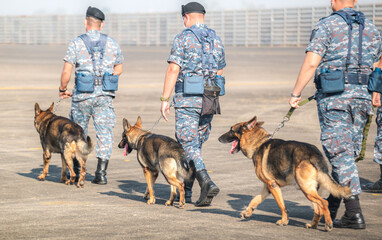 Soldiers from the  K-9 unit demonstrations to attack the enemy , the green lawns. learn the human...