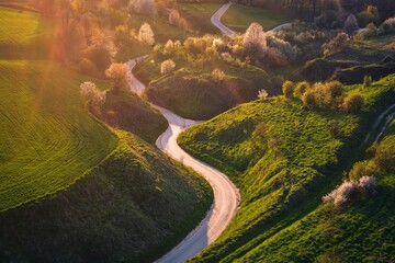 Beautiful green spring landscape in the Polish countryside. Winding road among green grass and flowering trees. - 598300371