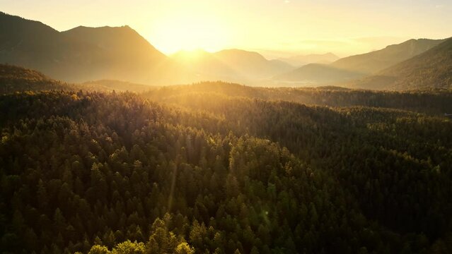 Bright rays of light at sunrise illuminating a mountain range in the Alps and the landscape in front of them with conifer forests on hills 
