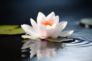 A tranquil zen scene unfolds as a beautiful lotus flower, symbolizing meditation and serenity, floats on calm water with delicate petals and exotic allure. Sense of relaxation. Generative AI.