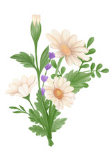 Daisy flower bouquet