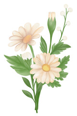 Daisy flower bouquet