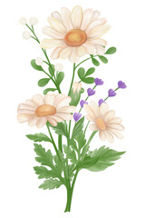 Daisy flower bouquet