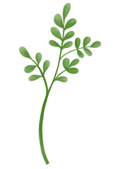 green leaves watercolor