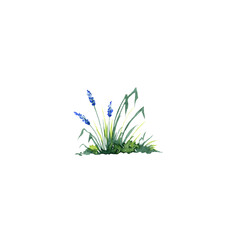 Watercolor foliage, green grass, field flowers