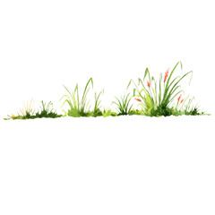 Watercolor foliage, green grass, field flowers