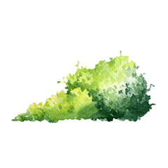 Watercolor foliage, green bush, green leaves