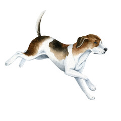 Watercolor dog, hound, hunting dog, running dog