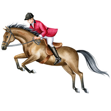 Watercolor horse rider, horse jump, horse races, championships, hunter jumper, equestrian, hunting,horseback