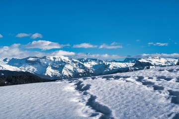 Praz de lys, Haute Savoie,  France