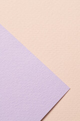 Rough kraft paper background, paper texture beige lilac colors. Mockup with copy space for text
