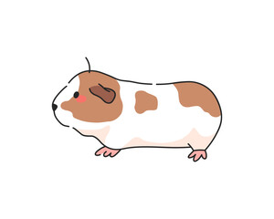 Guinea pig pet. Vector animal rodent icon.