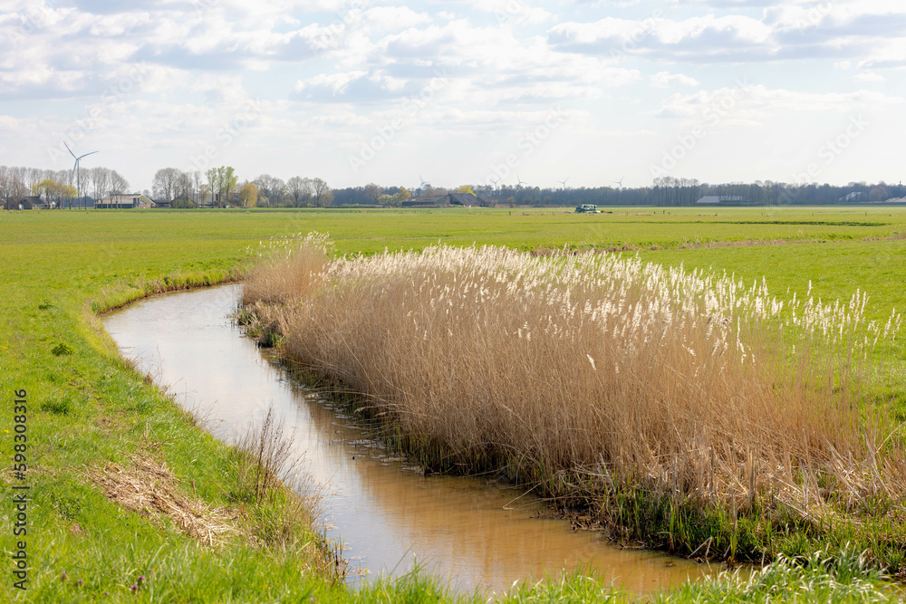 Wall mural Spring countryside landscape with flat and low land, Typical Dutch polder with green meadow under blue sky and white cloud, Small canal or ditch between the grass field, Drenthe province, Netherlands.