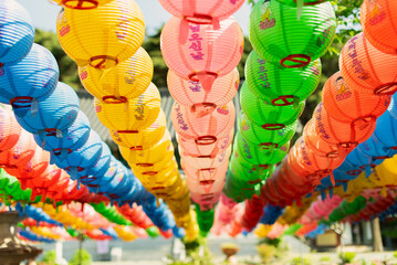 Colorful lotus lanterns hung in the temple to commemorate Buddha's Birthday