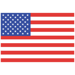 American Flag Illustration Design