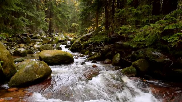 Mountain river with rocks in the forest, wide shot, slow motion, panning, hd. ProRes 422 HQ.