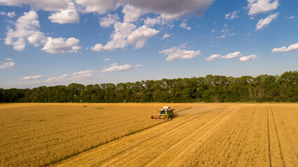 Obraz premium Aerial view combine (harvester) harvesting on wheat field, cloudy sky
