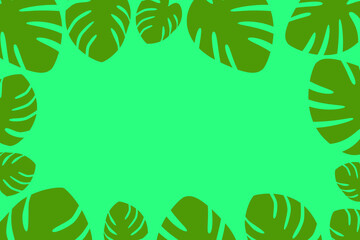 Vector background made of leaves of tropical monstera or philadendron plant with empty space for text