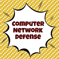 Computer network defense 