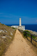 Fototapeta na wymiar lighthouse on a rock coast looking at the horizon 