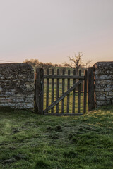 view behind a wooden fence