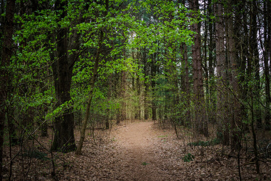 Al Sabo Trails