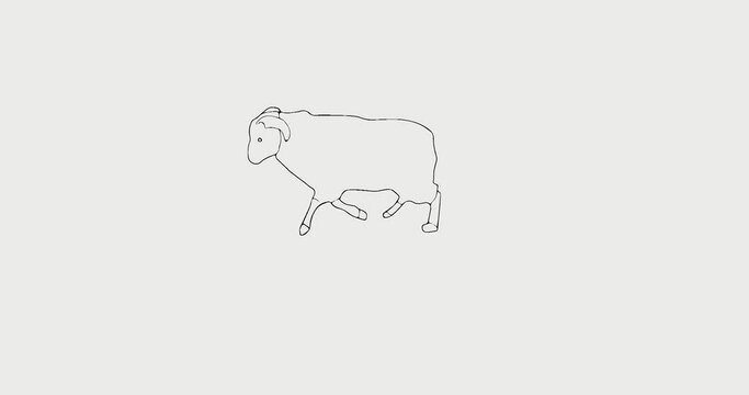 "Rabid sheep resonance: Angry aries on the attack!" - Incredible animation with an angry sheep on a white background, which is released on the full screen!